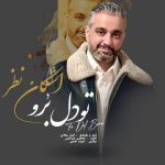اشکان نظر – تو دل برو
